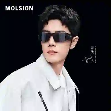 MOLSION
