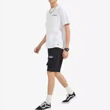 Dickies SS22 T