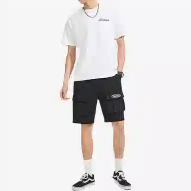 Dickies SS22 T
