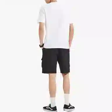 Dickies SS22 T