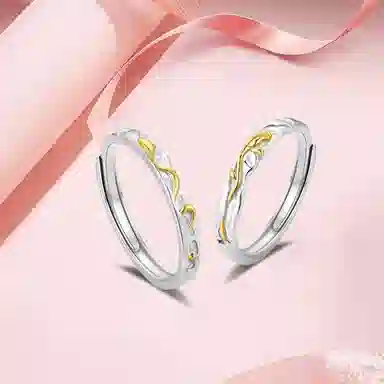 Inkopper ins