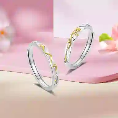 Inkopper ins