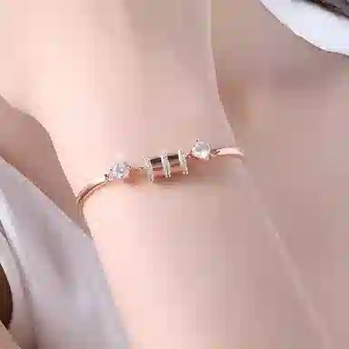 ins S925