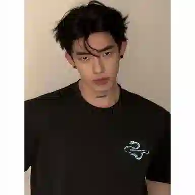 HOKLV T