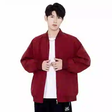 HSWLD bomber
