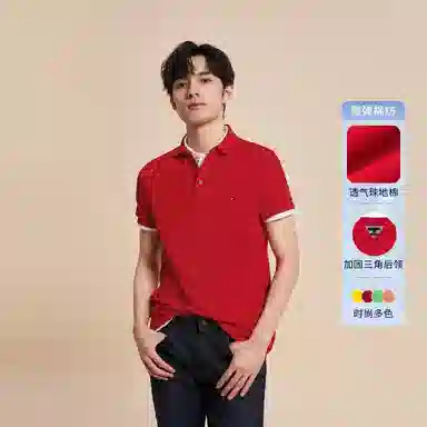 Tommy Hilfiger 1985 Polo