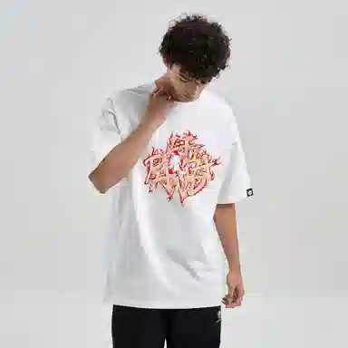 HIPANDA T