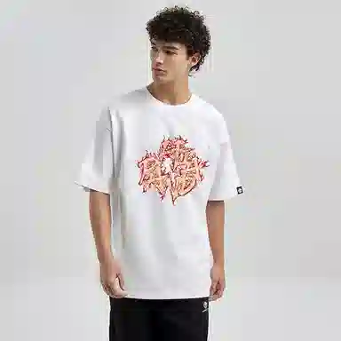 HIPANDA T