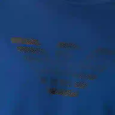 EMPORIO ARMANI SS21 LogoT