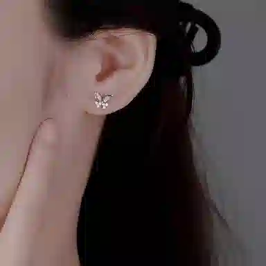 ins S925