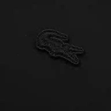 LACOSTE SS25 Polo 031