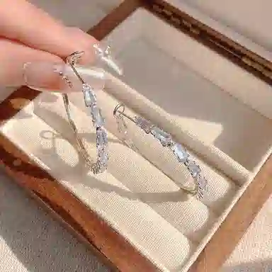 彤彤兔 轻奢圆圈冷淡风 合金 耳环 女款