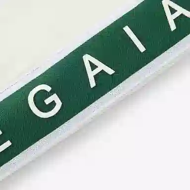 DEGAIA SS25 logo