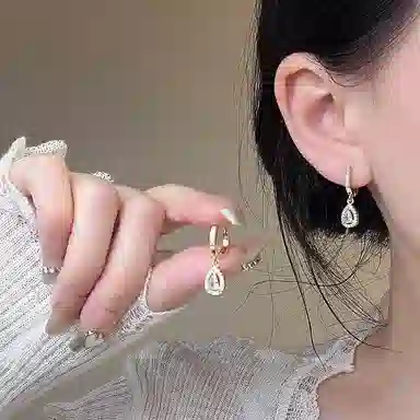 彤彤兔 法式高级感轻奢复古 合金 耳环 女款