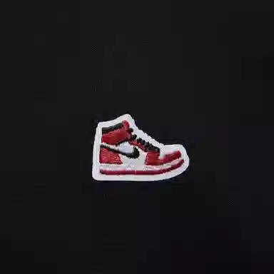 Jordan JORDAN BRAND T