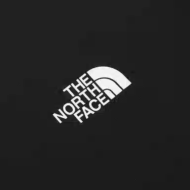 THE NORTH FACE SS23 LogoT