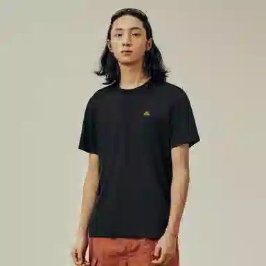 PELLIOT T