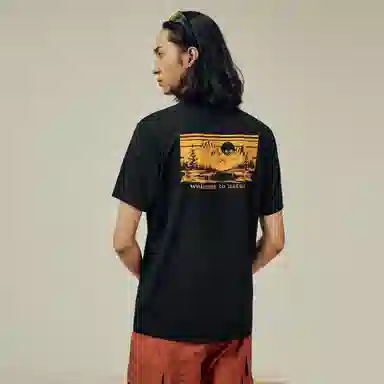 PELLIOT T