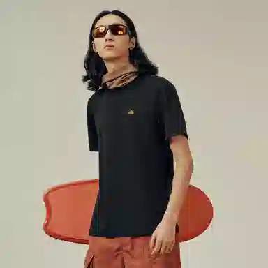 PELLIOT T