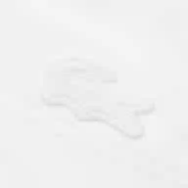 LACOSTE SS24 T
