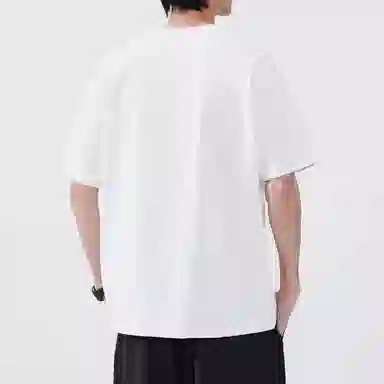 Hansca T