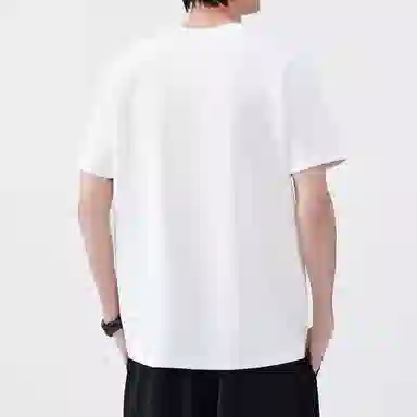 Hansca T