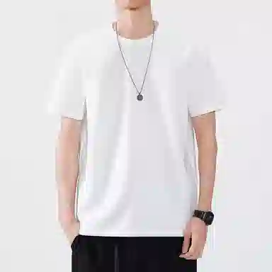 Hansca T