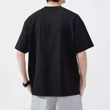 Hansca T