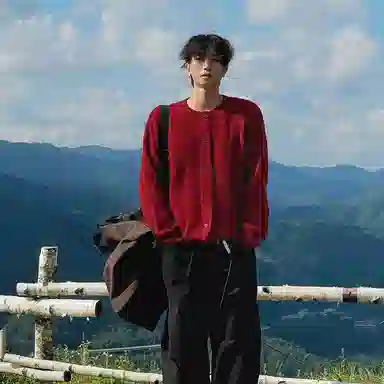 我是大卫 本命年喜庆小领口外套韩版宽松百搭休闲针织衫 男女同款 红色