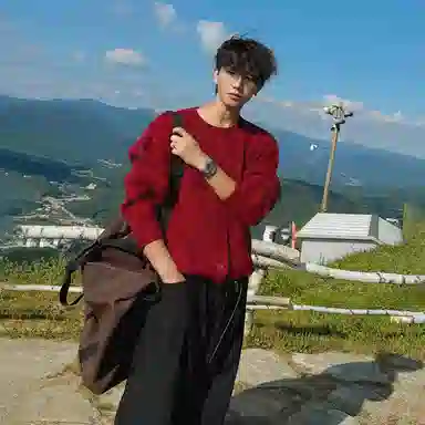 我是大卫 本命年喜庆小领口外套韩版宽松百搭休闲针织衫 男女同款 红色