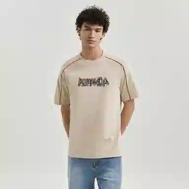 HIPANDA T