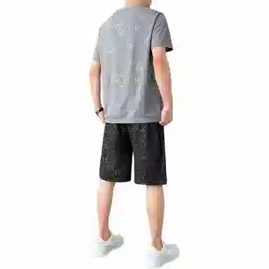 LISENPOK T