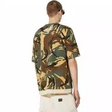 Aape T