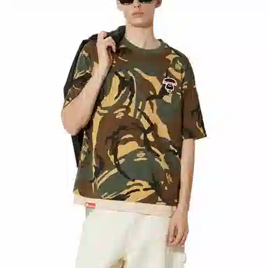 Aape T