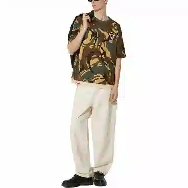 Aape T