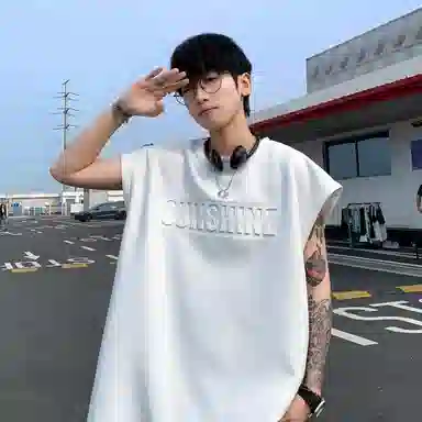 VIPGOOSE T