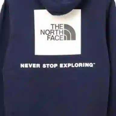 THE NORTH FACE Logo