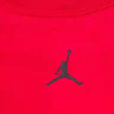 Jordan LogoT