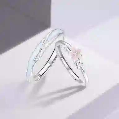 RINGLOVE ins