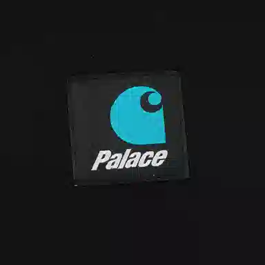 PALACE x Carhartt WIP FW24