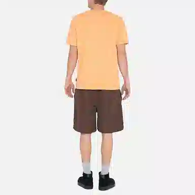 Stussy Logo Embroidered Shorts