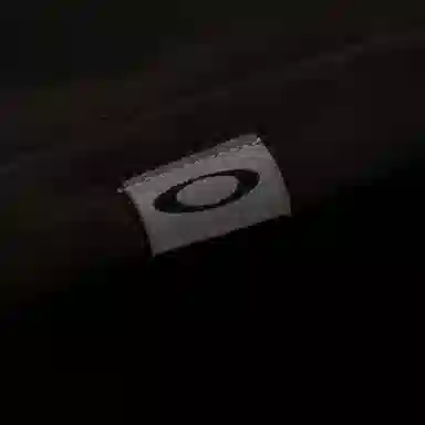 PALACE x Oakley FW24 logo