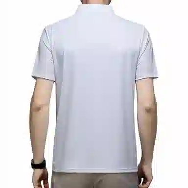 PIERRE CARDIN polo