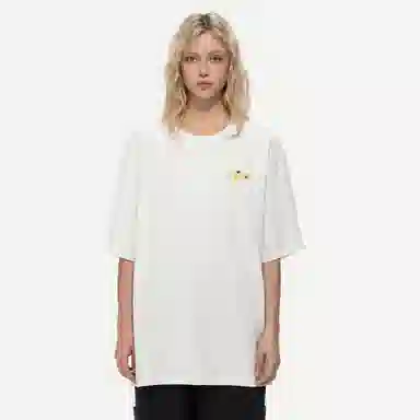 PISYPOX T