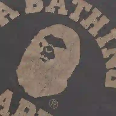 A BATHING APE FW24 Graphic T-Shirt