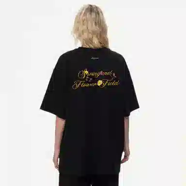 PISYPOX T