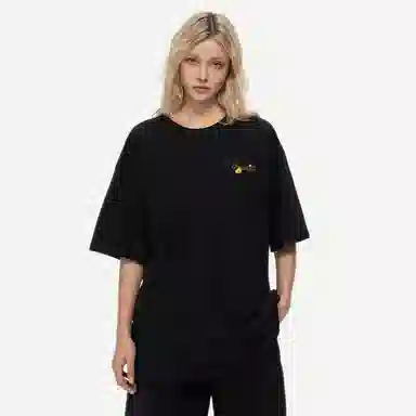 PISYPOX T