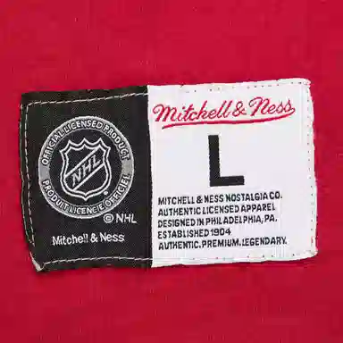 Mitchell Ness x NHL Wings Fade Away T