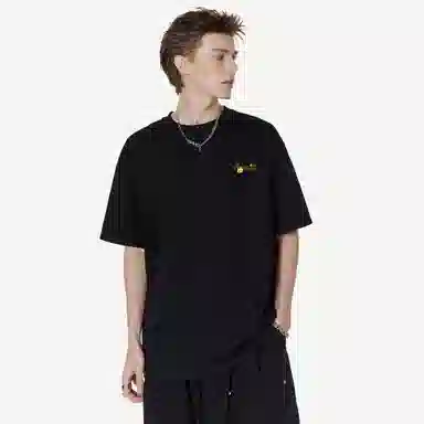 PISYPOX T