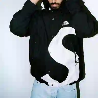 Supreme x The North Face S Logo Mountain Jacket